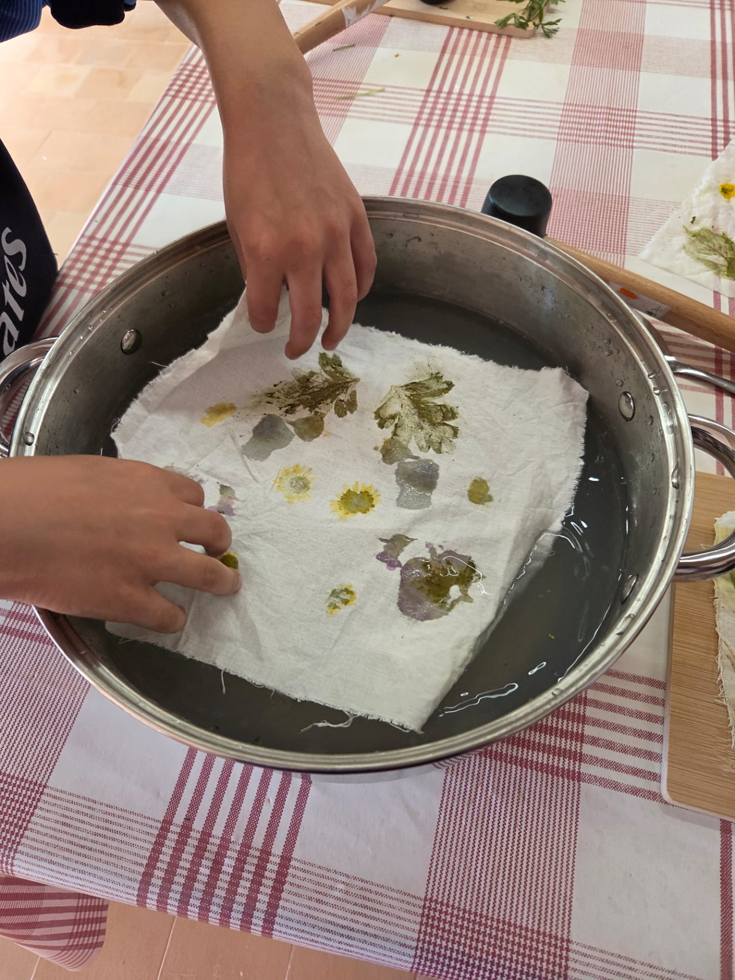 Teinture végétale